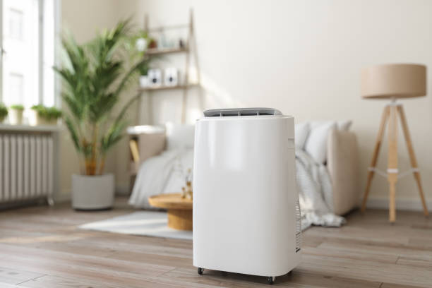 Best Ductless Mini-Split Systems in Park River, ND
